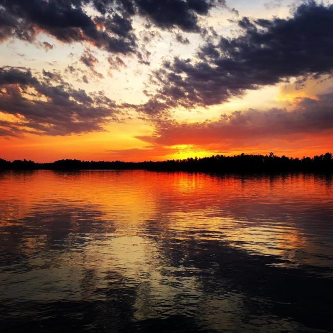 Privacy-Profound Experiences-Bob Davis Podcast 823